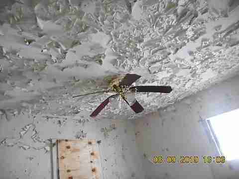 15779 Linden (31)_m.jpg